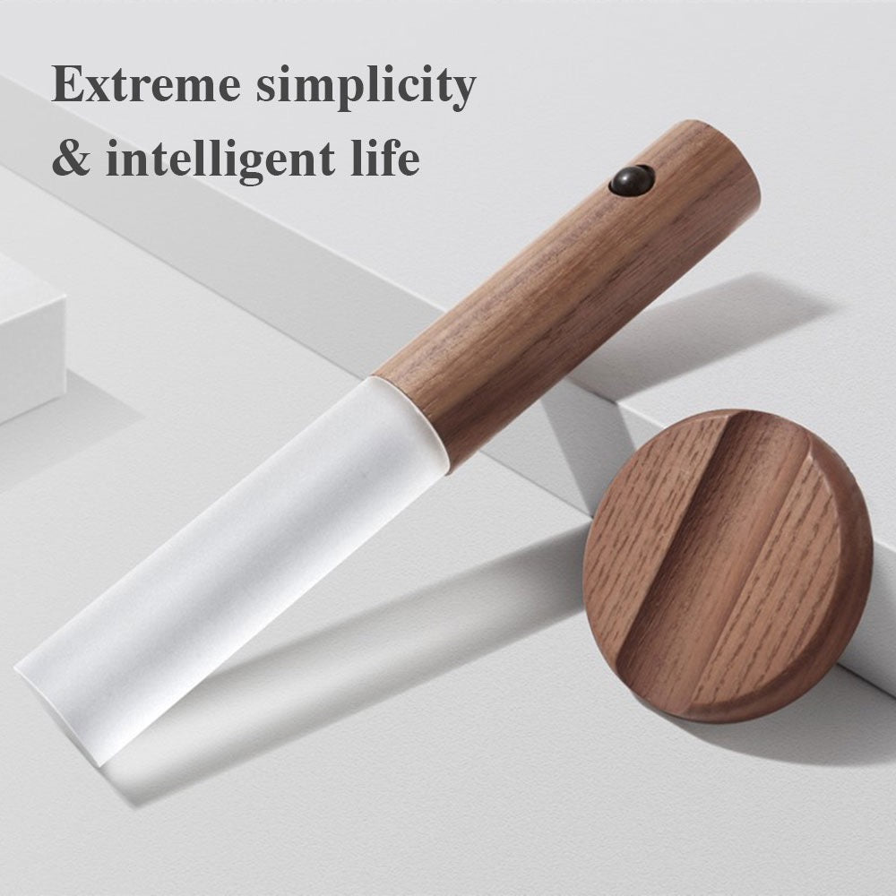 Wood-grain rechargeable led wall light